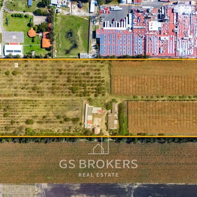 Foto de la galeria de imagenes